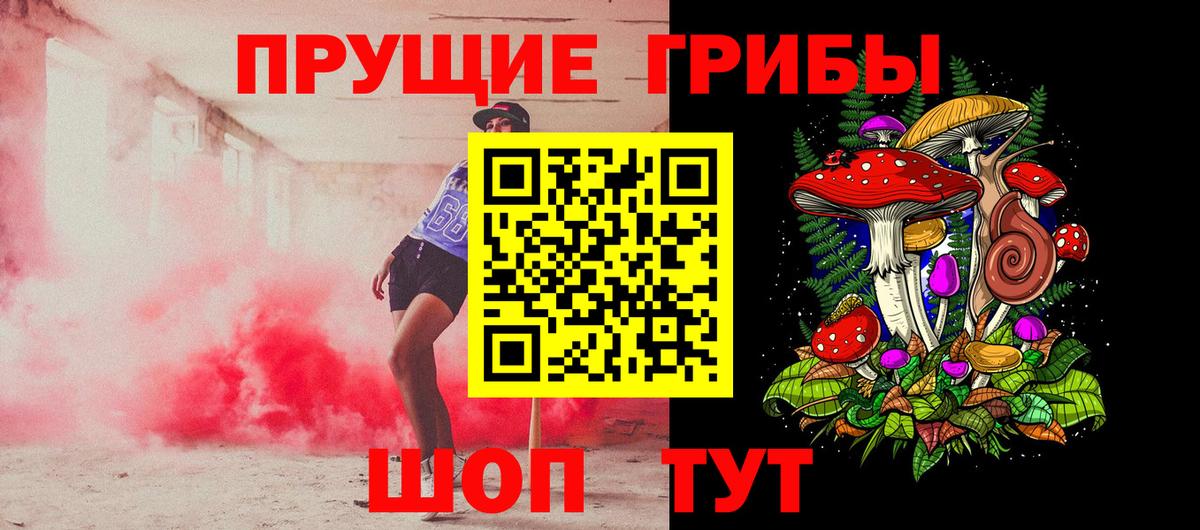 Псилоцибиновые грибы GOLDEN TEACHER Киров
